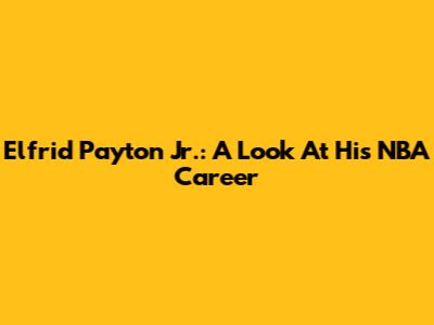 Elfrid Payton Jr.: A Look At His NBA Career