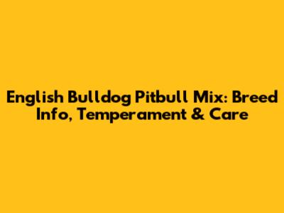 English Bulldog Pitbull Mix: Breed Info, Temperament & Care