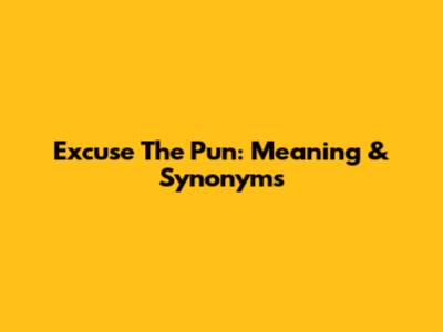 Excuse The Pun: Meaning & Synonyms