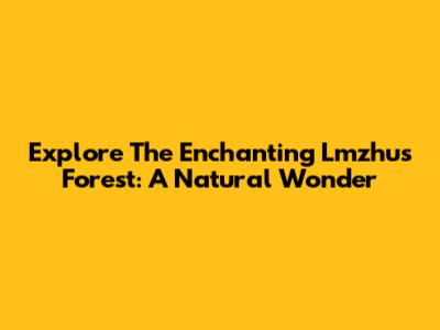 Explore The Enchanting Lmzhus Forest: A Natural Wonder