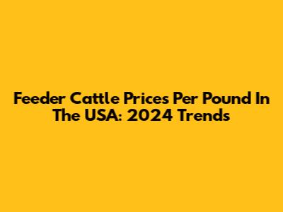 Feeder Cattle Prices Per Pound In The USA: 2024 Trends