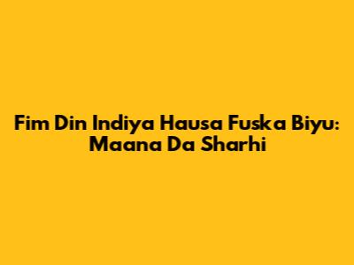 Fim Din Indiya Hausa Fuska Biyu: Ma'ana Da Sharhi