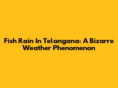 Fish Rain In Telangana: A Bizarre Weather Phenomenon