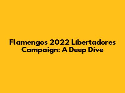 Flamengo's 2022 Libertadores Campaign: A Deep Dive