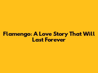 Flamengo: A Love Story That Will Last Forever