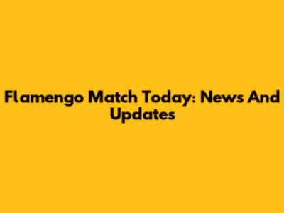 Flamengo Match Today: News And Updates
