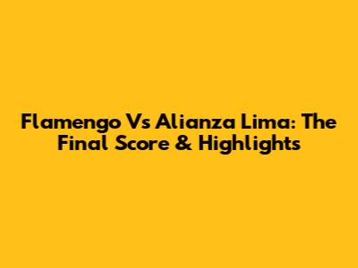 Flamengo Vs Alianza Lima: The Final Score & Highlights