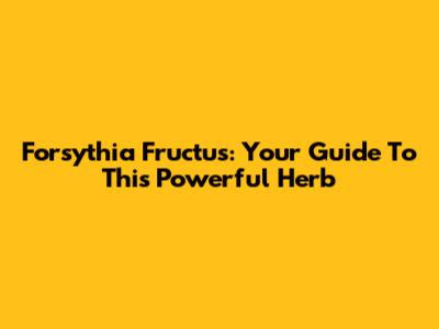 Forsythia Fructus: Your Guide To This Powerful Herb