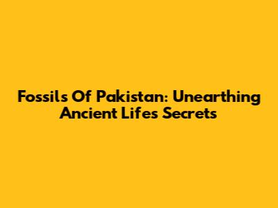 Fossils Of Pakistan: Unearthing Ancient Life's Secrets