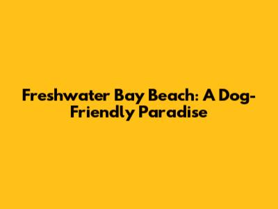 Freshwater Bay Beach: A Dog-Friendly Paradise