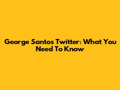 George Santos' Twitter: What You Need To Know