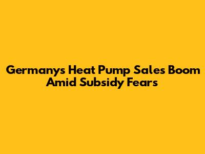 Germany's Heat Pump Sales Boom Amid Subsidy Fears