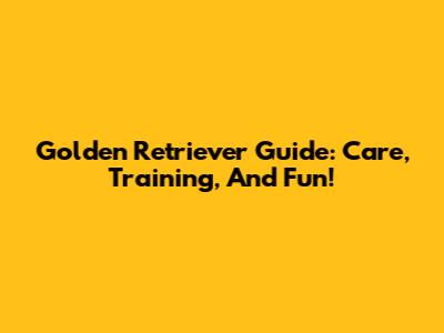 Golden Retriever Guide: Care, Training, And Fun!