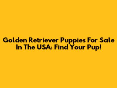 Golden Retriever Puppies For Sale In The USA: Find Your Pup!