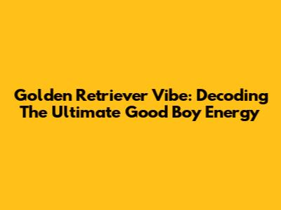 Golden Retriever Vibe: Decoding The Ultimate Good Boy Energy