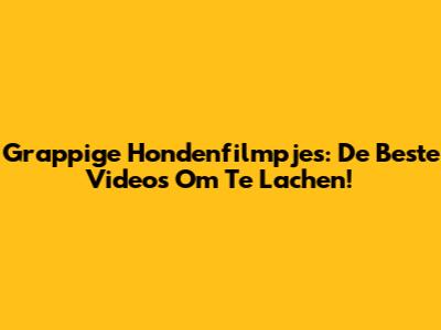 Grappige Hondenfilmpjes: De Beste Video's Om Te Lachen!