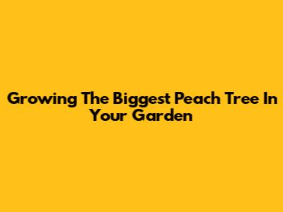 Growing The Biggest Peach Tree In Your Garden