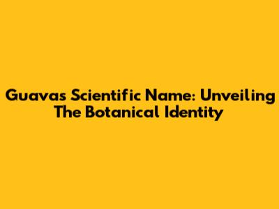 Guava's Scientific Name: Unveiling The Botanical Identity