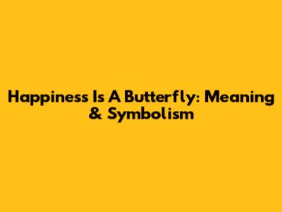 Happiness Is A Butterfly: Meaning & Symbolism
