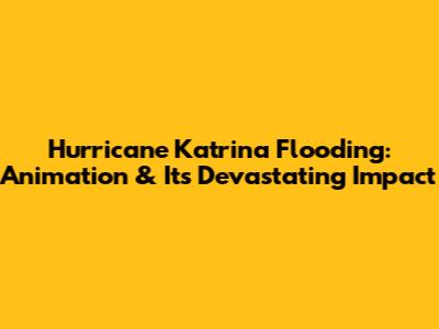 Hurricane Katrina Flooding: Animation & Its Devastating Impact