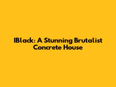 IBlack: A Stunning Brutalist Concrete House