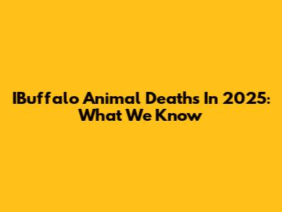 IBuffalo Animal Deaths In 2025: What We Know