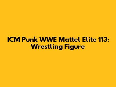 ICM Punk WWE Mattel Elite 113: Wrestling Figure