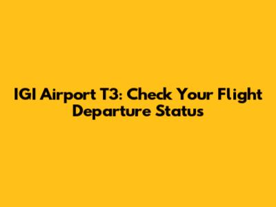 IGI Airport T3: Check Your Flight Departure Status