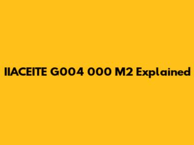 IIACEITE G004 000 M2 Explained