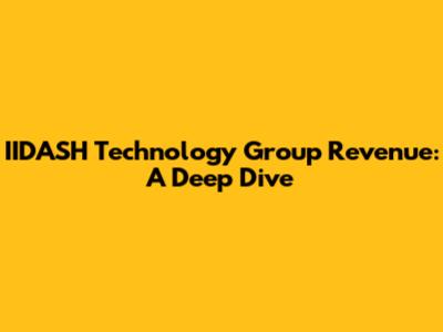 IIDASH Technology Group Revenue: A Deep Dive