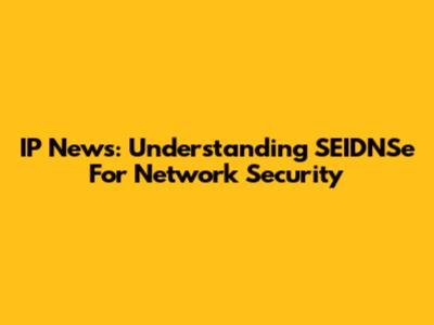 IP News: Understanding SEIDNSe For Network Security