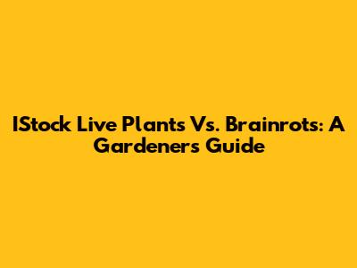 IStock Live Plants Vs. Brainrots: A Gardener's Guide