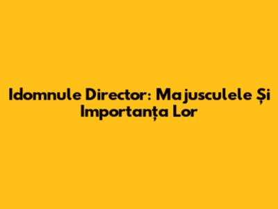 Idomnule Director: Majusculele Și Importanța Lor