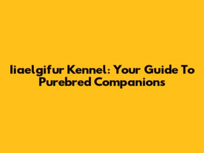 Iiaelgifur Kennel: Your Guide To Purebred Companions