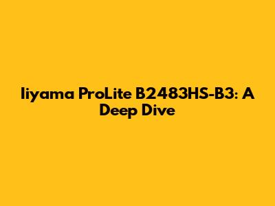 Iiyama ProLite B2483HS-B3: A Deep Dive