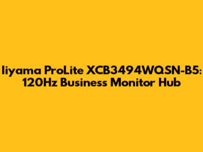 Iiyama ProLite XCB3494WQSN-B5: 120Hz Business Monitor Hub