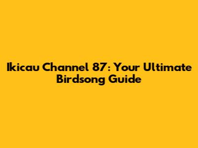 Ikicau Channel 87: Your Ultimate Birdsong Guide