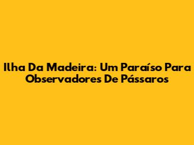 Ilha Da Madeira: Um Paraíso Para Observadores De Pássaros