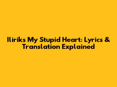 Ilirik's 'My Stupid Heart': Lyrics & Translation Explained