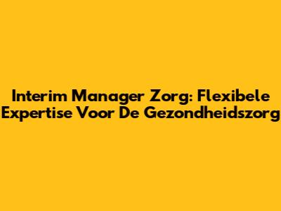 Interim Manager Zorg: Flexibele Expertise Voor De Gezondheidszorg