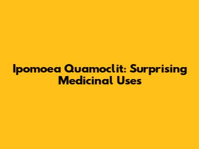 Ipomoea Quamoclit: Surprising Medicinal Uses