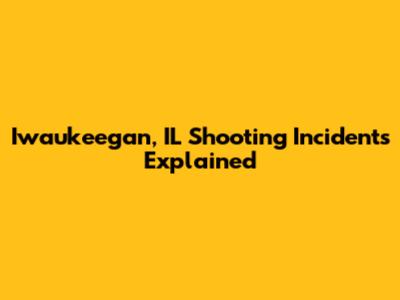 Iwaukeegan, IL Shooting Incidents Explained