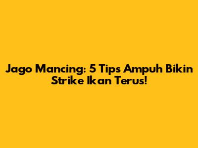 Jago Mancing: 5 Tips Ampuh Bikin Strike Ikan Terus!