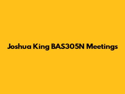 Joshua King BAS305N Meetings