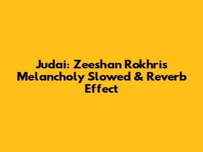 Judai: Zeeshan Rokhri's Melancholy Slowed & Reverb Effect