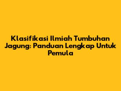 Klasifikasi Ilmiah Tumbuhan Jagung: Panduan Lengkap Untuk Pemula
