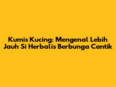 Kumis Kucing: Mengenal Lebih Jauh Si Herbalis Berbunga Cantik