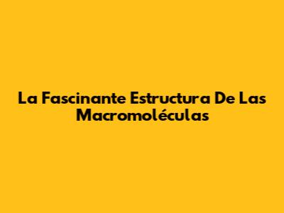 La Fascinante Estructura De Las Macromoléculas