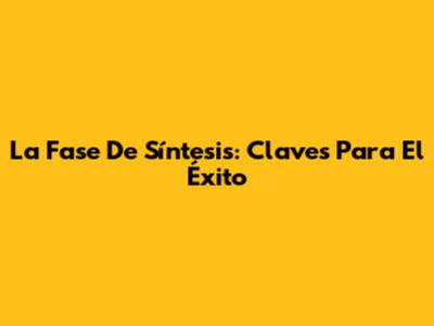 La Fase De Síntesis: Claves Para El Éxito