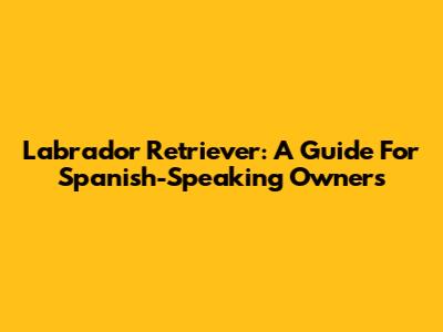 Labrador Retriever: A Guide For Spanish-Speaking Owners